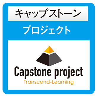 Capstone project